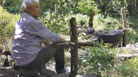 Pedro Laínez en el jardín de su casa. Foto / José Cardona. 