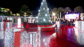 La magia de la Navidad brilla.  El impresionante árbol navideño de Davivienda ilumina la plaza europea del redondel Fuentes Beethoven, invitando a las familias a disfrutar de un ambiente lleno de luz y esperanza. LPG/Dennis Argueta.