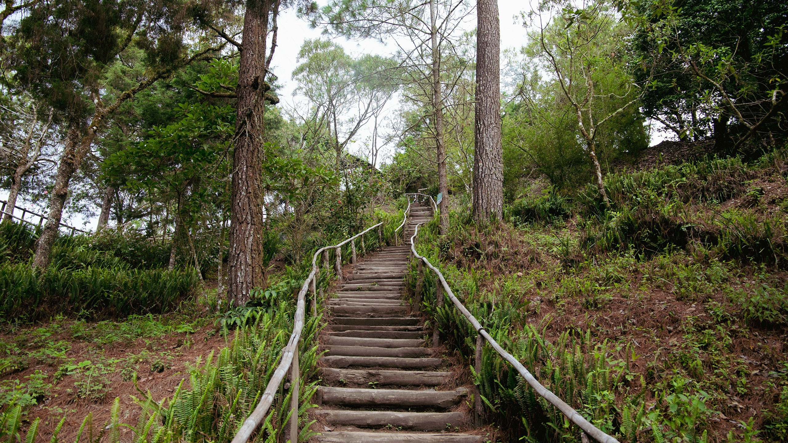  El parque Bicentenario es ideal para hacer caminatas. Foto: El Salvador Travels